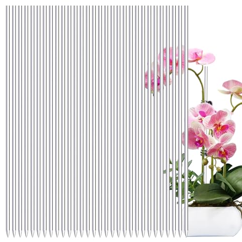 Pflanzenstäbchen, transparente Orchideenstäbchen, Acryl-Rankenstütze, Gartenwerkzeuge, Pflanzenstecker für Blumen, Topfpflanzen, Orchideen, Bohnen, Tomaten Pflanzenstäbchen, transparente Orchideenstäbchen, Acryl-Rankenstütze, Gartenwerkzeuge, Pflanzenstecker für Blumen, Topfpflanzen, Orchideen, Bohnen, Tomaten von Anulely