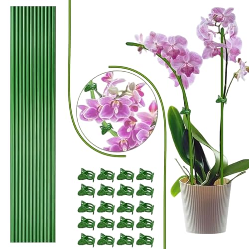 Pflanzenstütze, Garten-Pflanzstäbe mit Klemmen, biegbarer Stiel, Kletterstäbe, Befestigungsklemmen für Gemüse, Tomaten, Erdbeere, Pfeffer, Orchidee, Pfingstrosen, Bonsai Pflanzenstütze, Garten-Pflanzstäbe mit Klemmen, biegbarer Stiel, Kletterstäbe, Befestigungsklemmen für Gemüse, Tomaten, Erdbeere, Pfeffer, Orchidee, Pfingstrosen, Bonsai von Anulely