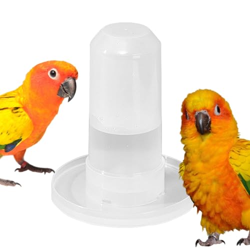 Vogeltränke, Wasserspender für Vogelkäfig, Wasserspender für Vögel, 350 ml für Käfig, abnehmbare Vogeltränke, Dekoration für Baumhof, Tränke Vogeltränke, Wasserspender für Vogelkäfig, Wasserspender für Vögel, 350 ml für Käfig, abnehmbare Vogeltränke, Dekoration für Baumhof, Tränke von Anulely