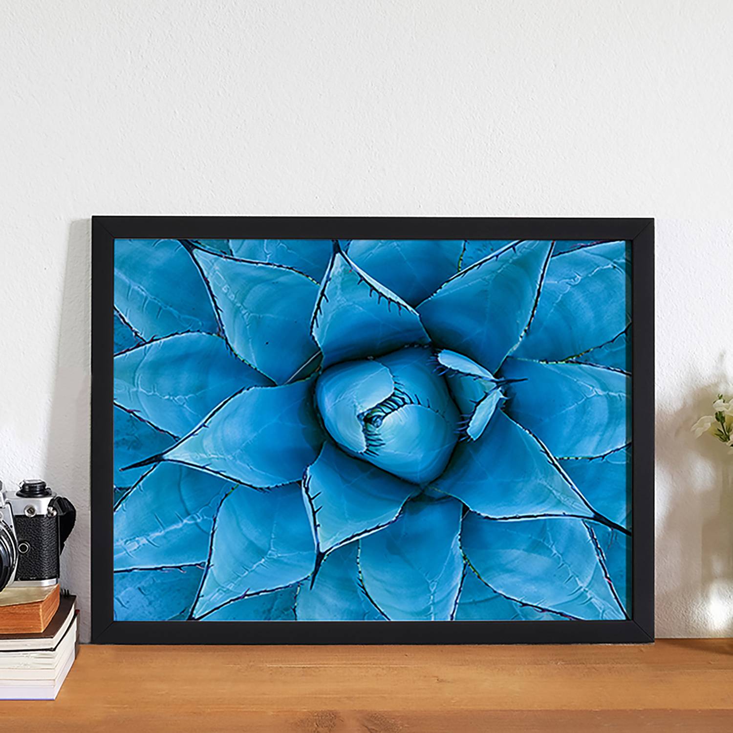 Bild Blue Agave von Any Image