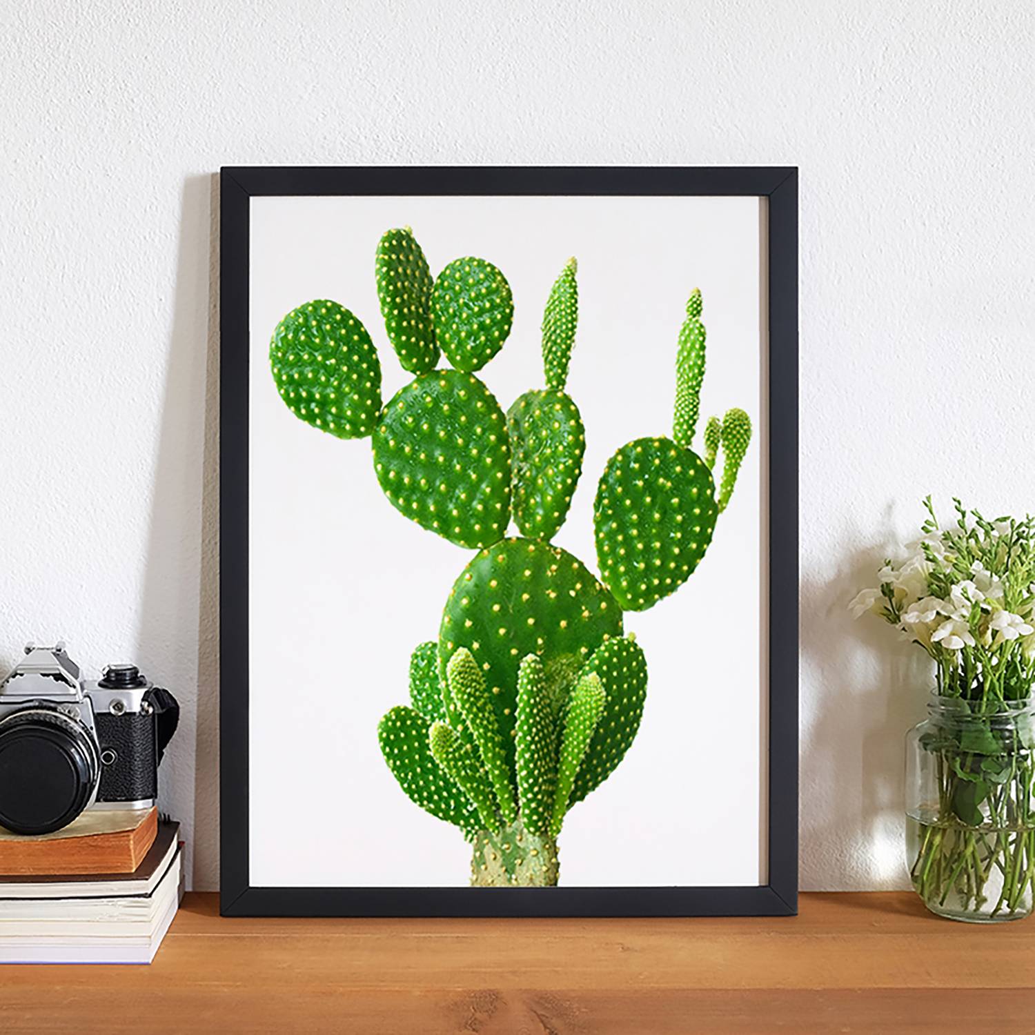 Bild Cactus von Any Image