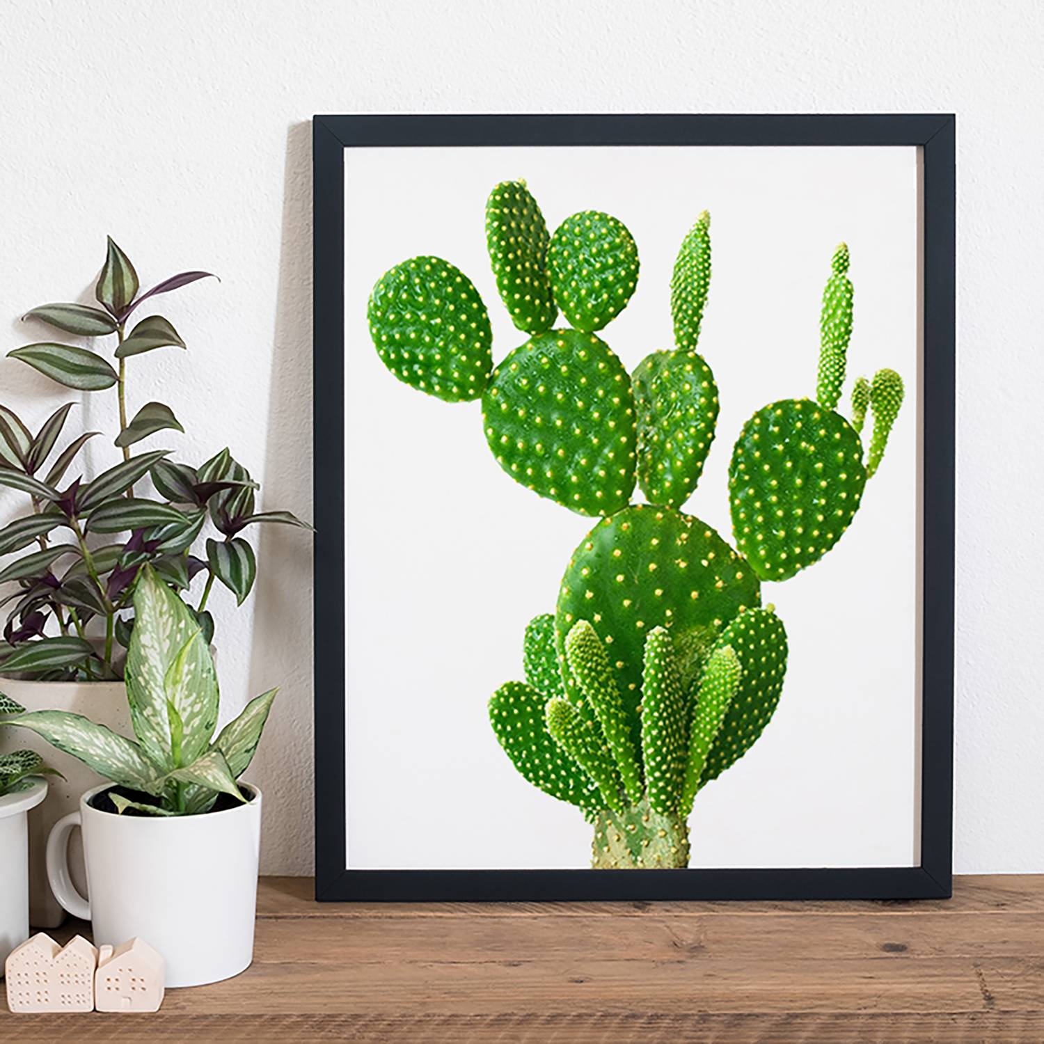 Bild Cactus von Any Image