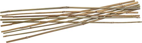 Tonkinstäbe Bambusstäbe Pflanzstäbe Rankhilfe Ø 5-8 mm x 60 cm (10 Stück) von AnyTools