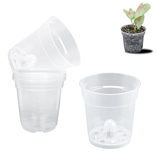 Anyasen Pflanztopf Transparent 6 Stück Orhideerde Topf Transparente Kunststoff Pflanztöpfe Orchidee Pflanztöpfe Blumentopf aus Kunststoff Orchidee Anzuchttöpfe Sämlings Töpfe mit Ablauflöchern von Anyasen
