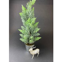Gefrosteter Weihnachtsbaum in Silbernem Behälter. Funkelnder Pinienbaum Im Metalleimer. Winter/Urlaub Dekor Für Büro Oder Zuhause Gefrosteter Weihnachtsbaum in Silbernem Behälter. Funkelnder Pinienbaum Im Metalleimer. Winter/Urlaub Dekor Für Büro Oder Zuhause von AnythingDiscovered