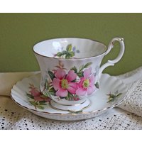 Royal Albert Teetasse Mit Untertasse. Tee Set Handgemalter Prärie Rose. Tasse Kompliziertem Henkel Und Ausgebogter Untertasse Made in England von AnythingDiscovered