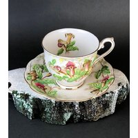 Royal Albert Teetasse Mit Untertasse. Tee-Set Jack-In-A-Pulpit. Hübscher Vintage Griff Aus Porzellan Ausgebogter von AnythingDiscovered