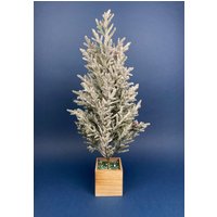 Weihnachtsbaum in Holzkiste. Schneebedeckte/Beflockte Kiefer. Urlaub/Winter Dekor Für Haus Oder Büro Weihnachtsbaum in Holzkiste. Schneebedeckte/Beflockte Kiefer. Urlaub/Winter Dekor Für Haus Oder Büro von AnythingDiscovered