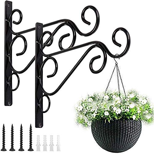 Pflanze Wandhalterung hängende Klammern Haken Pflanzenkorb Kleiderbügel Halter 10 Zoll Indoor Outdoor Metallklammern mit Schrauben Gartenkörbe hängende Pflanzgefäße Laterne Windspiele (2PACK) von Anzmtosn