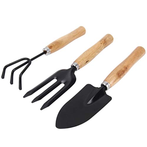 Aoaoy 3 Stück Griff aus Holz, Rechenstaub, Werkzeug für Sukkulenten, Gartenwerkzeuge aus Holz, Mini-Werkzeug für Gartentöpfe (verschiedene Farben) von Aoaoy