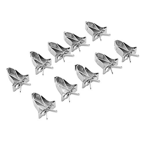 Aoaoy Vogelklammern Edelstahl 14 * 10 * 3 10pcs Frucht Gemüse Clips Edelstahl Obst Viertable Feeder Clips für Lark Hamster Kaninchen Aoaoy Vogelklammern Edelstahl 14 * 10 * 3 10pcs Frucht Gemüse Clips Edelstahl Obst Viertable Feeder Clips für Lark Hamster Kaninchen von Aoaoy