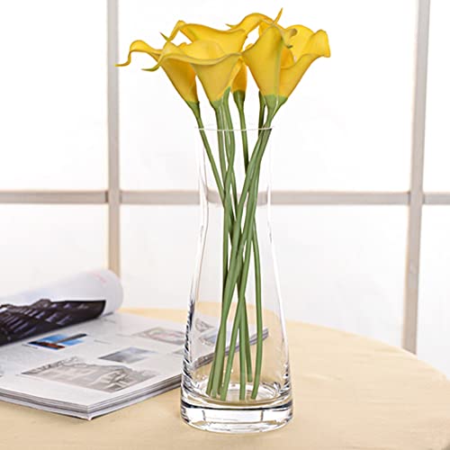 Aoderun Blumenvase Glas Vasen Deko Groß 26cm Hoch Kleine Vasen für Tischdeko Pampasgras Vase transparent für Eine Rose Hyazinthen von Aoderun