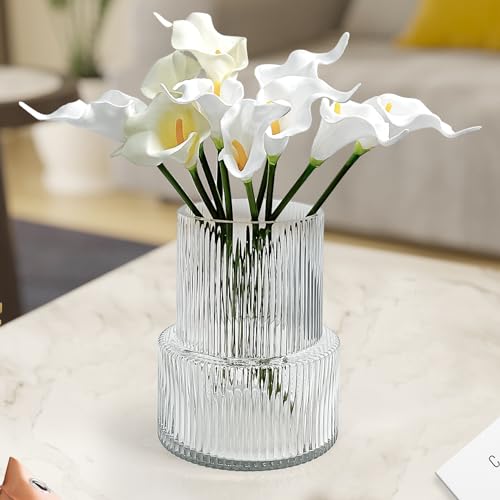 Aoderun Glasvase Vase für Blumen Gerippte Vase Moderne große Blumenvase für Wohnzimmer Esstisch Küche Büro Home Regal Hochzeit Party Dekor (transparent) von Aoderun