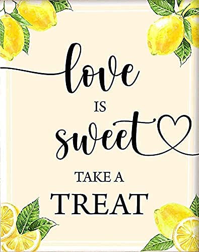 Lemon Love Is Sweet Take A Treat Schild Citrus Main Squeeze Brautdusche Dekor Zitrone Tischdekoration Limonade Party Dekor Blechschilder Vintage Lustig 20,3 x 30,5 cm von Aoevc