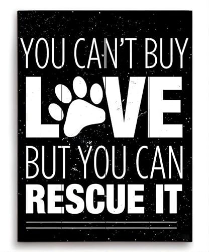 Metall-Blechschild mit Aufschrift "You Can't Buy Love But You Can Rescue It", Geschenk für Freunde, Familie, Unterhaltung, 20,3 x 30,5 cm von Aoevc