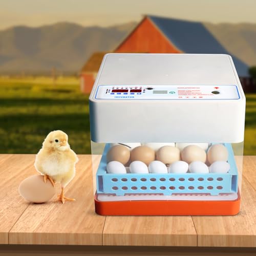 Eierinkubator Brutautomat Vollautomatisch Inkubator Für 16-24 Eier Mit Automatischer Rotations und Befeuchtung Brutmaschine Hühnereier Wachtel Enteneier Feuchtigkeitsanzeige Brutkasten Eierinkubator Brutautomat Vollautomatisch Inkubator Für 16-24 Eier Mit Automatischer Rotations und Befeuchtung Brutmaschine Hühnereier Wachtel Enteneier Feuchtigkeitsanzeige Brutkasten von Aohuada