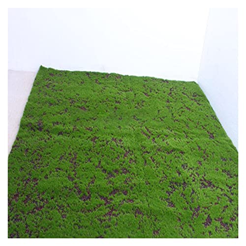 Aoisavch Künstlicher Moos-Moos-Teppich, DIY gefälschte grüne Pflanzen, Kunstmoos for Gras, Garten, Wand, Wohnzimmer, Dekorationszubehör, 8 Stile (Color : Bb, Size : 3.28'x3.28'/1x1m) von Aoisavch