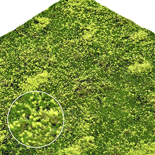 Aoisavch Künstlicher Moosteppich Falsches Moos, Künstliche Mooswand Grünpflanzen, for Patio for Haus Garten Patio DIY Dekoration, 17 Styles (Color : Cc, Size : 3.28'x3.28'/1x1m) von Aoisavch