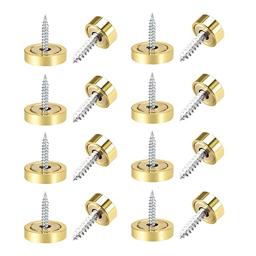 Spiegelschrauben, 30 mm, gebürsteter Edelstahl, dekorative Kappe, Metallnagel für Badeplatten, Spiegeltische, Kleiderschränke, Möbel, gebürstetes Gold, 8 Stück Spiegelschrauben, 30 mm, gebürsteter Edelstahl, dekorative Kappe, Metallnagel für Badeplatten, Spiegeltische, Kleiderschränke, Möbel, gebürstetes Gold, 8 Stück von Aoktorkit
