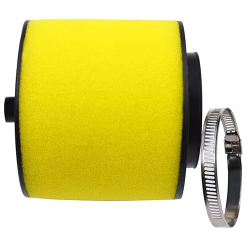 Aoleegatt Motorrad-Luftfilter Für Honda TRX350TM TRX350FE TRX350FM TRX350TE TRX350FE TRX350FM TRX350TM TRX400FA TRX400FGA von Aoleegatt