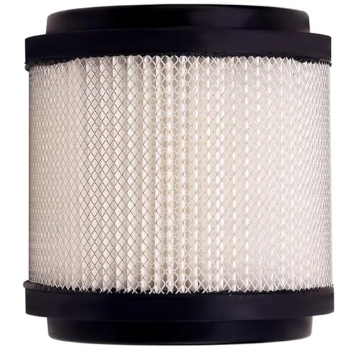 Aoleegatt Motorradzubehör Luftfilter Für Polaris 250 300 350L 400L 2X4 4X4 4x6 6X6 Aoleegatt Motorradzubehör Luftfilter Für Polaris 250 300 350L 400L 2X4 4X4 4x6 6X6 von Aoleegatt