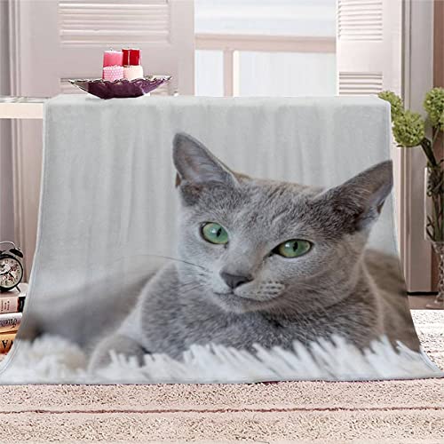 Aolity Kuscheldecke 130x150 cm Jungen Junge Teenager Mädchen Extra Weich Wohndecke Mikrofaser Kuscheldecke Russische Blaue Katze Katze Tier Sofadecke Flanelldecke 3D Druck Wohndecke von Aolity