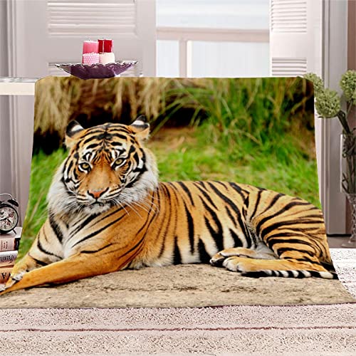 Aolity Kuscheldecke 150x200 cm Königstiger Wild Lebende Tiere Decke Camping Kuscheldecke Flanelldecke Weich Wohndecke Sofadecke Decke für Kinder Erwachsene Kuscheldecke Draußen Aolity Kuscheldecke 150x200 cm Königstiger Wild Lebende Tiere Decke Camping Kuscheldecke Flanelldecke Weich Wohndecke Sofadecke Decke für Kinder Erwachsene Kuscheldecke Draußen von Aolity