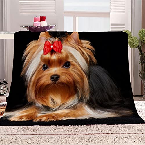 Brauner Hund des Yorkshire Terriers Kuscheldecke 180x220 cm Flanelldecke flauschig Warme Microfaser Blanket Groß Tagesdecke Decke für Sofa und Bett Hochwertige Decke Sommer von Aolity