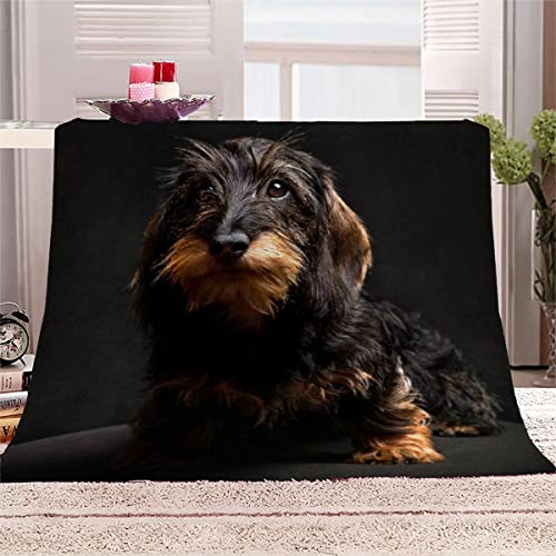 Aolity Kuscheldecke 130x150 cm Jungen Junge Teenager Mädchen Extra Weich Wohndecke Mikrofaser Kuscheldecke Dackel Schwarz Sofadecke Flanelldecke 3D Druck Wohndecke von Aolity