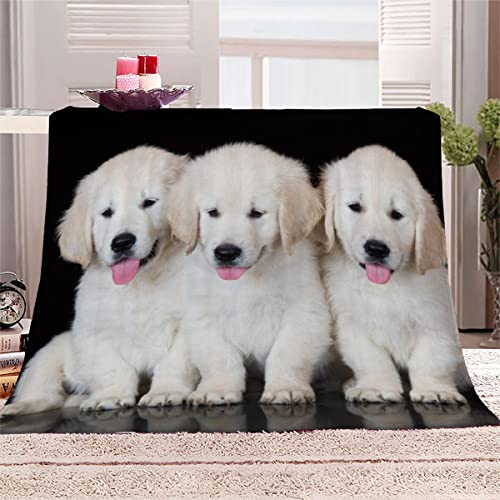 Kuscheldecke Kinder Flanell Decke Golden Retriever Weißer Hund 3D Drucken Microfaser Flauschig Weich Warm Plüsch Wohndecke Sommer Zottelig Kuscheldecke 100x135 cm von Aolity