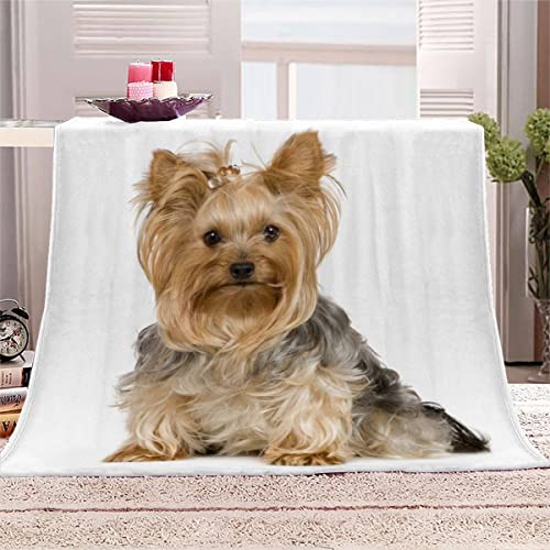 Kuscheldecke Yorkshire-Terrier Kinder Flanell Decke Weiß 3D Drucken Microfaser Flauschig Weich Warm Plüsch Wohndecke Sommer Zottelig Kuscheldecke 100x135 cm von Aolity