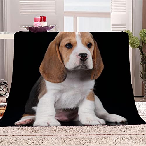 Süßer Beagle Schwarz Hund Kuscheldecke 180x220 cm Flanelldecke flauschig Warme Microfaser Blanket Groß Tagesdecke Decke für Sofa und Bett Hochwertige Decke Sommer von Aolity