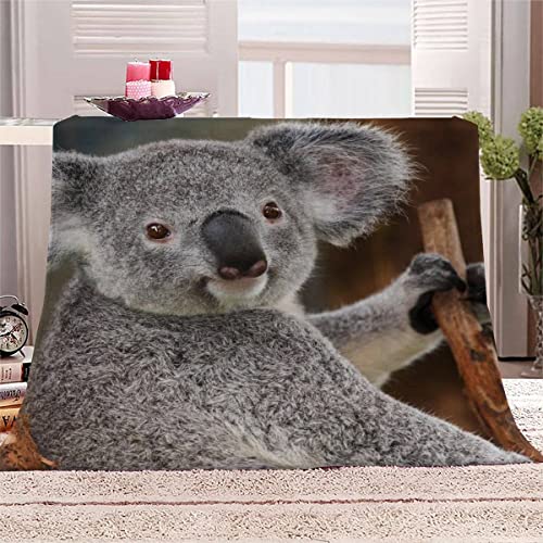Zoo Koalabären Kuscheldecke 180x220 cm Flanelldecke Koala Süßes Tier flauschig Warme Microfaser Blanket Groß Tagesdecke Decke für Sofa und Bett Hochwertige Decke Sommer von Aolity