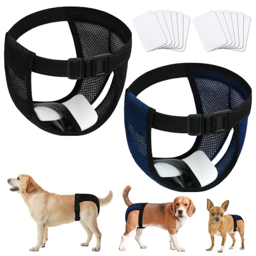 Aomig 2er Hundewindeln Wiederverwendbare Läufigkeitshose Hündinnen, Hunde Waschbare Schutzhöschen mit 6 Hygienepad Damenbinde Verstellbare Schutzhose für Hündinnen Waschbare Schutzhose Läufigkeit (L) Aomig 2er Hundewindeln Wiederverwendbare Läufigkeitshose Hündinnen, Hunde Waschbare Schutzhöschen mit 6 Hygienepad Damenbinde Verstellbare Schutzhose für Hündinnen Waschbare Schutzhose Läufigkeit (L) von Aomig