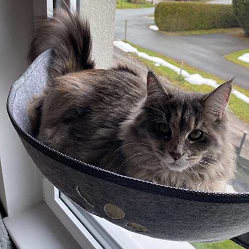 Aoresac Katzen Fensterliege Fensterplätze mit Matten und Saugnapf für Sonnenbaden, Bis zu 20 KG, 70 cm x 29 cm Aoresac Katzen Fensterliege Fensterplätze mit Matten und Saugnapf für Sonnenbaden, Bis zu 20 KG, 70 cm x 29 cm von Aoresac