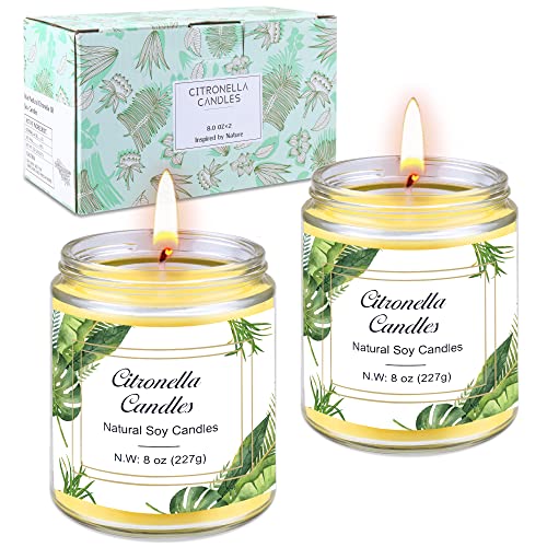 Kerze Outdoor im Glas, Groß Zitronella, draußen mit Citronella öl & Natürliche Sojawachs Zitrone Teelichter für Garten Terrasse Camping Picknick Balkon Sommergeschenk Kerze Outdoor im Glas, Groß Zitronella, draußen mit Citronella öl & Natürliche Sojawachs Zitrone Teelichter für Garten Terrasse Camping Picknick Balkon Sommergeschenk von Aottom