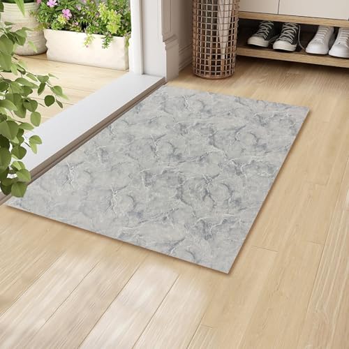 Aoxisicoo Innen-Fußmatte 60x90cm, waschbare Schmutzfangmatte, superdünne Eingangstürmatte,rutschfeste Schmutzfang langlebige Teppich, saugfähiger Küchenläufer,Grau von Aoxisicoo
