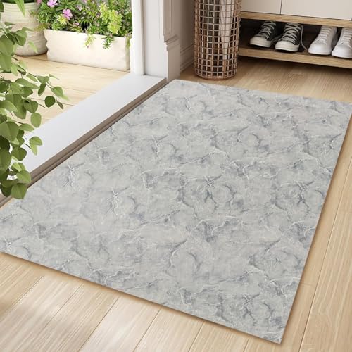 Aoxisicoo Innen-Fußmatte 80x120cm, waschbare Schmutzfangmatte, superdünne Eingangstürmatte,rutschfeste Schmutzfang langlebige Teppich, saugfähiger Küchenläufer,Grau von Aoxisicoo