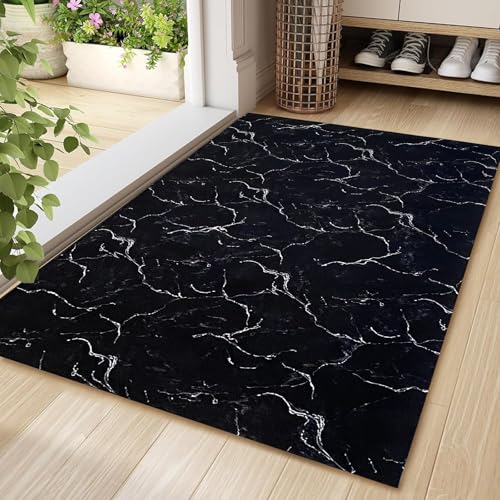 Aoxisicoo Innen-Fußmatte 80x120cm, waschbare Schmutzfangmatte, superdünne Eingangstürmatte,rutschfeste Schmutzfang langlebige Teppich, saugfähiger Küchenläufer,Schwar von Aoxisicoo