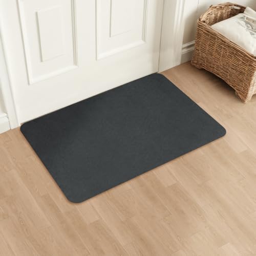 Aoxisicoo Schmutzfangmatte 40x60cm,Superdünn Innen Fußmatte,Saugfähiges Rutschfester Teppich,strapazierfähige Türmatte,Für Eingangsbereich,Küche,Terrasse,Haustür,Dunkelgrau von Aoxisicoo