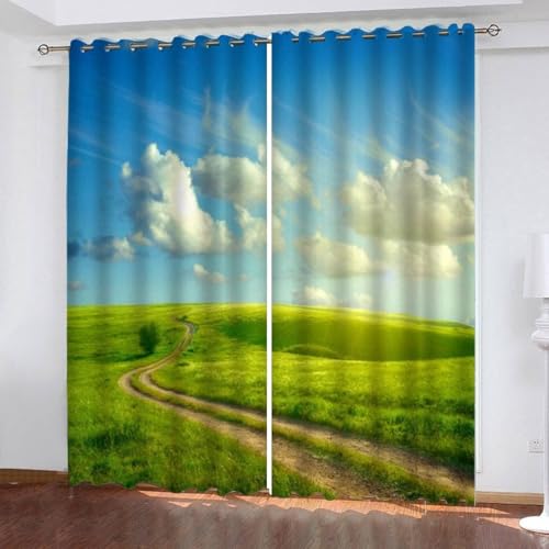 Vorhang Blickdicht Grüne Landschaft Vorhänge Frühling Gardinen Wohnzimmer Schlafzimmer Verdunklungsvorhänge Thermovorhang 3D Druck Schallschutz Vorhang mit Ösen 2er Set B 110 x H 215 cm a.3916 von Aozhiswe