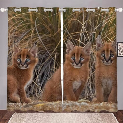 Vorhang Blickdicht Karakal Vorhänge Süße Tiere Gardinen Wohnzimmer Schlafzimmer Verdunklungsvorhänge Thermovorhang 3D Druck Schallschutz Vorhang mit Ösen 2er Set B 100 x H 160 cm a4884 von Aozhiswe