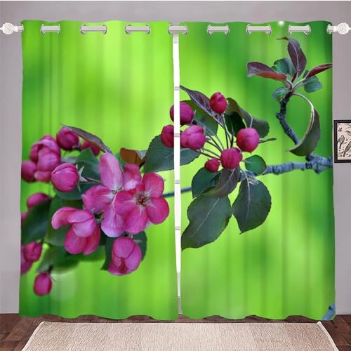 Vorhang Blickdicht Rote Rose Blume Vorhänge Frühling Gardinen Wohnzimmer Schlafzimmer Verdunklungsvorhänge Thermovorhang 3D Druck Schallschutz Vorhang mit Ösen 2er Set B 60 x H 150 cm a.7881 von Aozhiswe