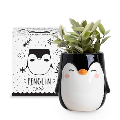 Apa la Papa, Keramik-Pflanzgefäß mit Pinguin-Tiermotiv für drinnen und draußen, 8,5 x 8,5 x 11 cm, niedlich, handbemalt, entworfen in Argentinien, praktisches Ablaufloch Apa la Papa, Keramik-Pflanzgefäß mit Pinguin-Tiermotiv für drinnen und draußen, 8,5 x 8,5 x 11 cm, niedlich, handbemalt, entworfen in Argentinien, praktisches Ablaufloch von Apa la Papa
