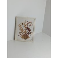 Pflanzenbild Echte Pflanzen Getrocknete Blumen Hinter Glas Mit Vintage Holzrahmen Handgearbeitet Aufhänger. Ungeöffnet 15, 5 X 20 cm von ApadisArt