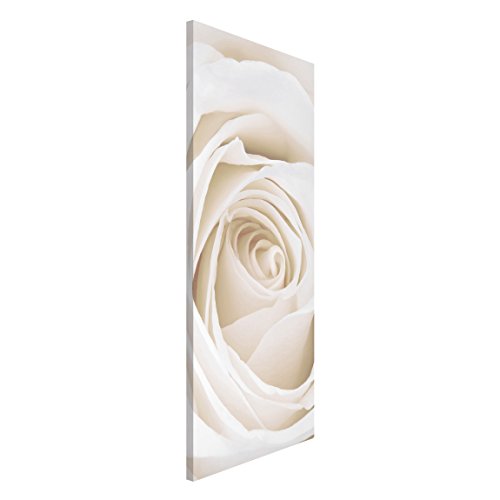 Apalis Rosenbild Magnettafel - Pretty White Rose - Blumenbild Memoboard Hoch 78cm x 37cm Größe HxB:78cm x 37cm von Apalis