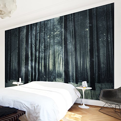 Apalis 94976 Vlies / Fototapete Mystischer Winterwald Breit | Vlies Tapete Wandtapete Wandbild Foto 3D Fototapete für Schlafzimmer Wohnzimmer Küche | Größe: 225x336 cm von Apalis