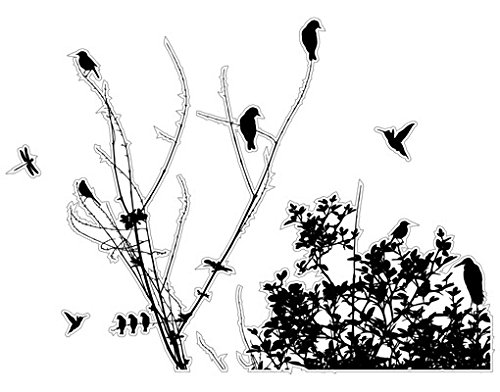 Apalis Fenstersticker Fensterfolie Fensterbild Branches and Birds in May 29 x 40cm von Apalis