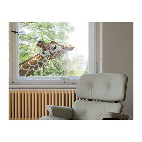 Apalis Fenstersticker Fensterfolie suchende Giraffe Fensterbilder 30 x 45cm von Apalis