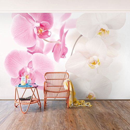 Apalis Fototapete Orchidee - Vliestapete - Delicate Orchids - Blumentapete Breit | Vlies Tapete Wandtapete Wandbild Foto 3D Fototapete für Schlafzimmer Wohnzimmer Küche | Größe HxB:320x480cm von Apalis